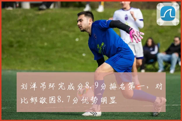 刘洋吊环完成分8.9分排名第一，对比邹敬园8.7分优势明显